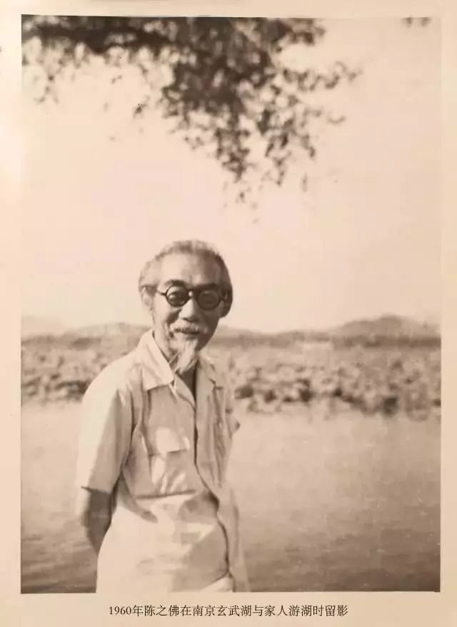 花鸟画|花鸟画怎么画，怎么赏？陈之佛的构图、设色有秘诀！