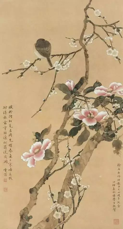 花鸟画|花鸟画怎么画，怎么赏？陈之佛的构图、设色有秘诀！