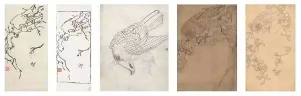 花鸟画|花鸟画怎么画，怎么赏？陈之佛的构图、设色有秘诀！