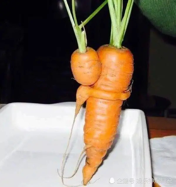 搞笑趣图:这个胡萝卜怎么看起来不一样呢?