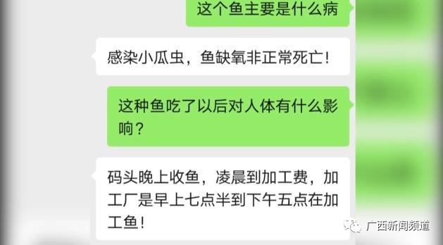 钦州港|金鲳鱼小瓜虫病爆发！病鱼销往全国各地，专家给出解释