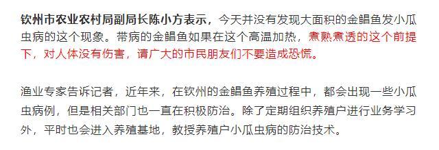 钦州港|金鲳鱼小瓜虫病爆发！病鱼销往全国各地，专家给出解释