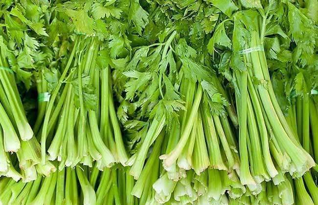 夏天出现中暑,发热,心烦,口渴,尿少,或其他急性热病时,均宜用西瓜进行