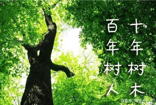 镇安7.1亿豪华中学学生发声-WordPress极简博客