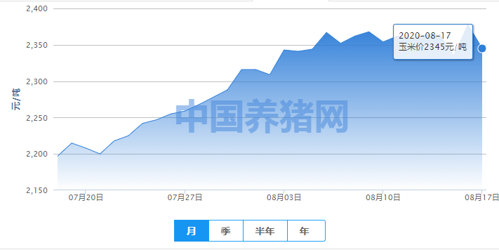 玉米|玉米行情迎来重要信号！9月有望创历史新高？