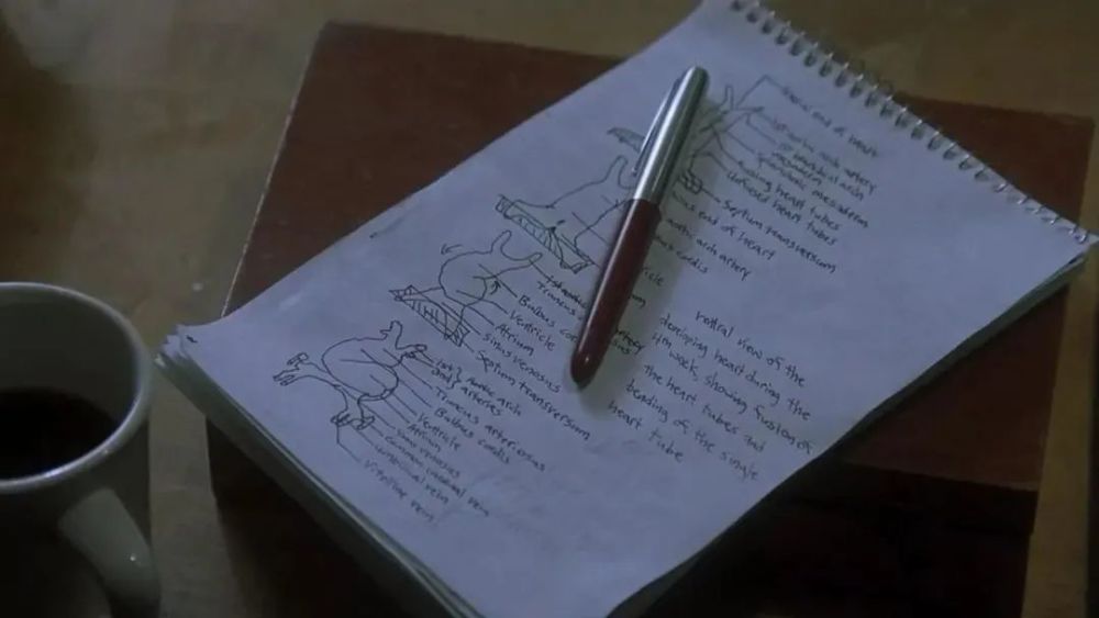 儿童|拯救上万儿童的医学大神，居然不配拥有姓名？