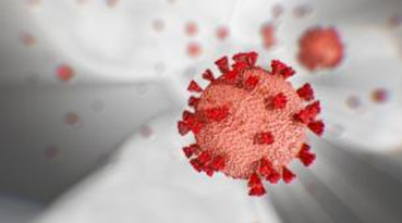 唾液检测|耶鲁大学新冠唾液检测获FDA批准：价格约10美元，3小时内出结果