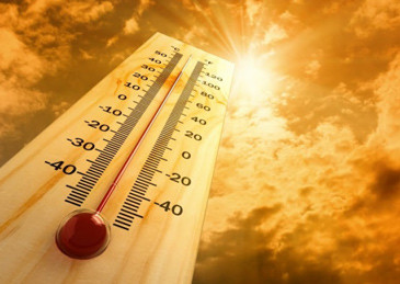 医院|未来全球温度将让人类难以生存