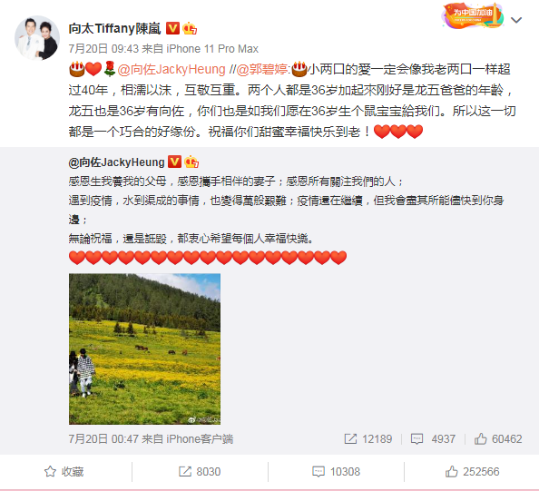 向太|向太陈岚因心梗入院抢救，住院一个月发文曝近况，晒自拍秀豪宅