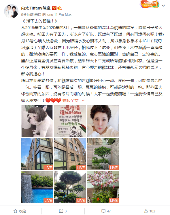 向太|向太陈岚因心梗入院抢救，住院一个月发文曝近况，晒自拍秀豪宅