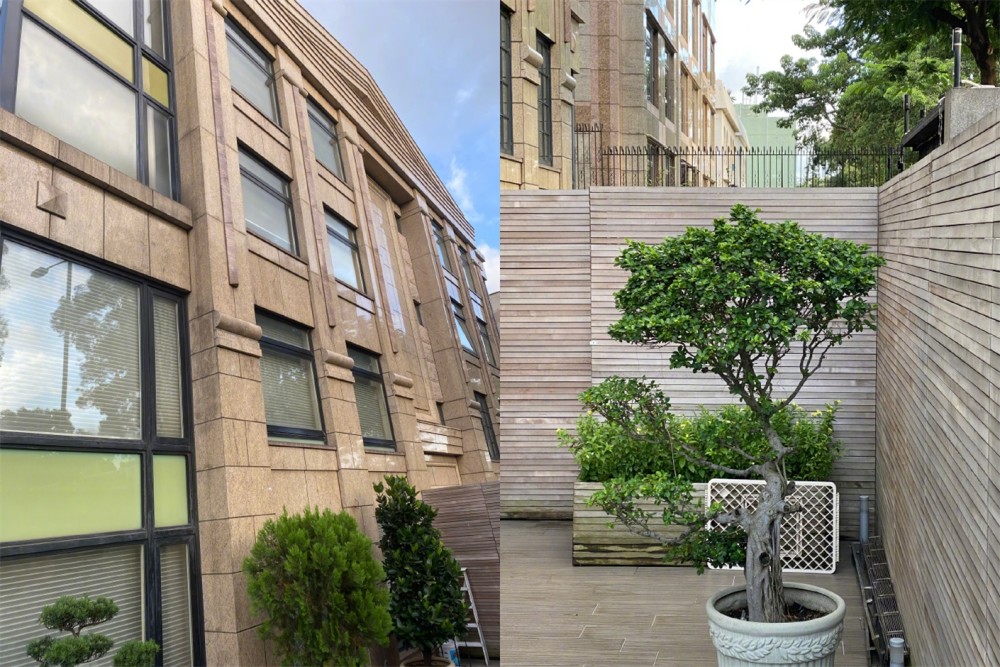 向太|向太陈岚因心梗入院抢救，住院一个月发文曝近况，晒自拍秀豪宅