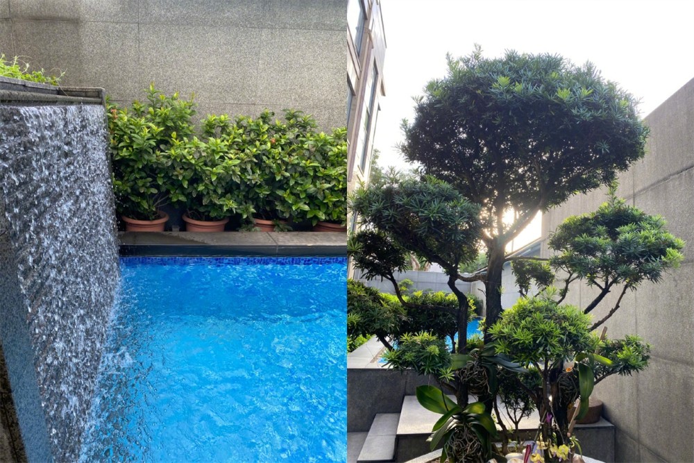 向太|向太陈岚因心梗入院抢救，住院一个月发文曝近况，晒自拍秀豪宅