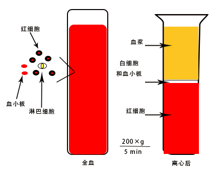 血浆是血液的细胞外基质,是血液的重要组成成分,血液经离心后得到的淡