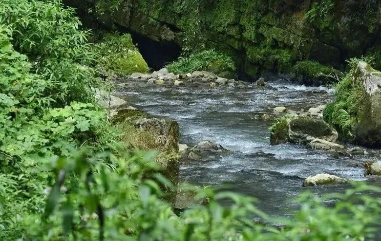 重慶周邊這些山野小清溪人少景美避暑最安逸