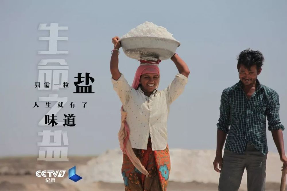 生命之盐|盘中微粒背后的极致财富 22：00【生命之盐 4】