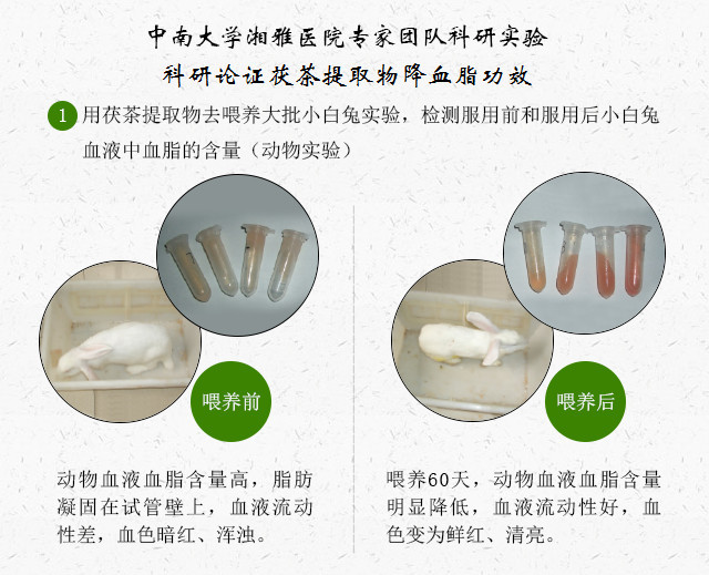 循环障碍|恢复自愈力，逆转糖尿病及并发症，前沿微生物组学创新突破