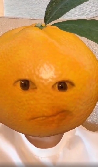 橙子脸的样子,很是搞笑滑稽. (来自:唐人大视野)