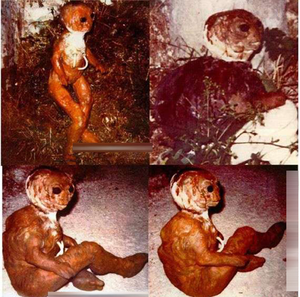 外星生物真存在吗?