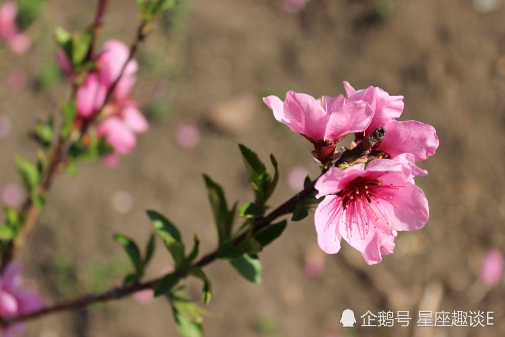 8月18日 日星座运势 白羊迎接挑战 天蝎提升实力 水瓶得心应手 腾讯新闻