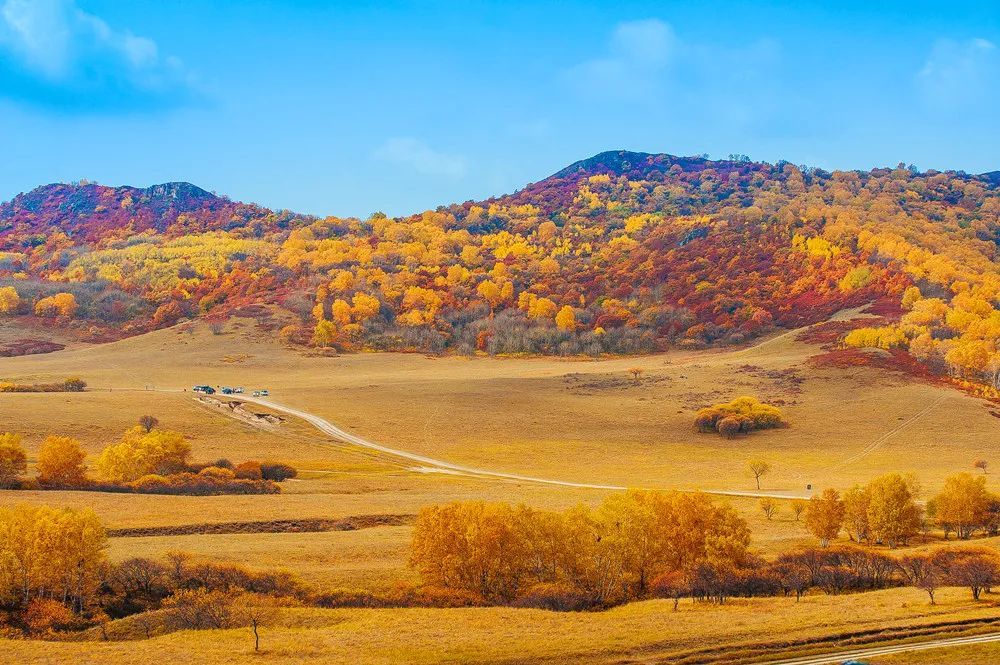 草原|279起周末就能玩的大草原，不去你永远不知道草原的秋天多美！