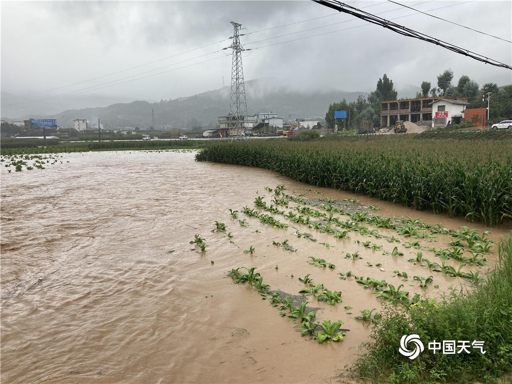 雨势凶猛云南多地发生泥石流洪涝灾害道路坍塌农田被淹