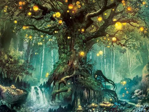 催眠中我看到美丽的魔幻森林那里的光芒使我今生的痛苦化为乌有