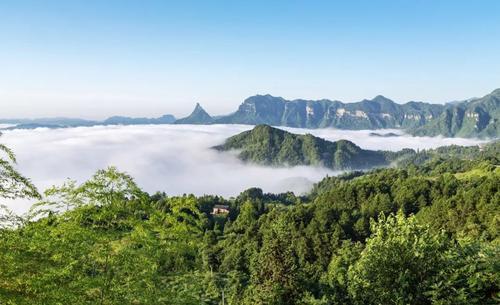 南川金佛山