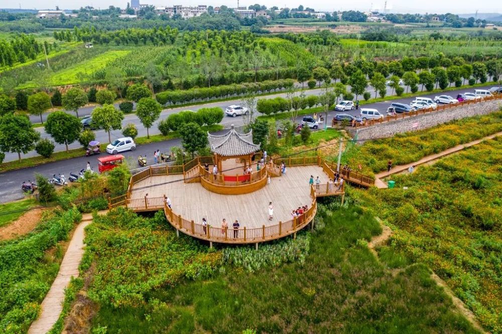 孟津新晋网红地,你来过吗?