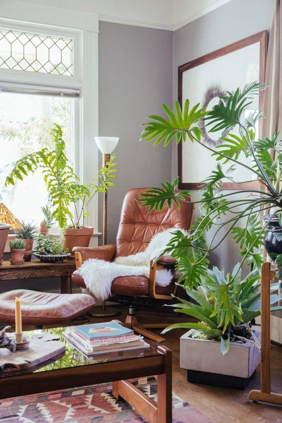 11种北欧ins风的绿植 你的家居装饰小清新选择 腾讯新闻