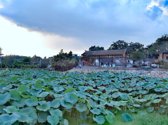 来南阳磨沟村 畅游绿水青山 体味红色文化 腾讯新闻