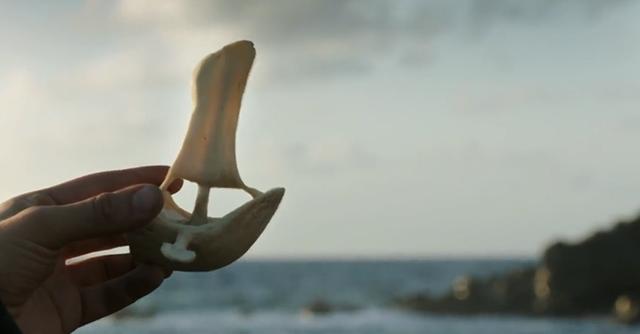 电影冰肤传说男子在孤岛工作太久对鱼人犯下滔天罪行