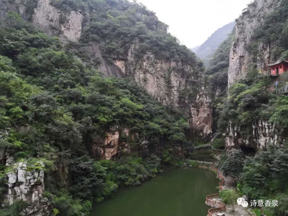 灵泉|灵泉峡的树和野草更加茂盛了