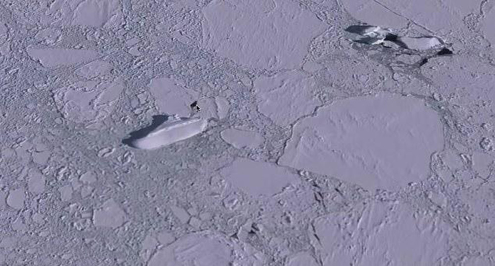 南极洲|奇闻：南极洲发现巨型冰冻方舟？长达120米，侧翻倒在碎冰中间