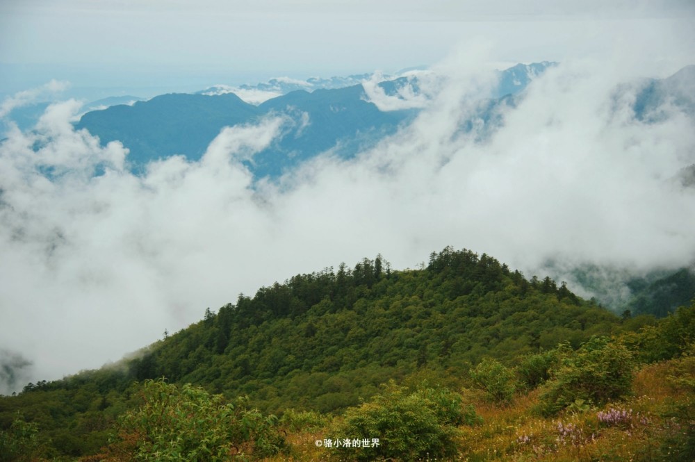 西岭，冬天玩雪，夏天可以腾云驾雾