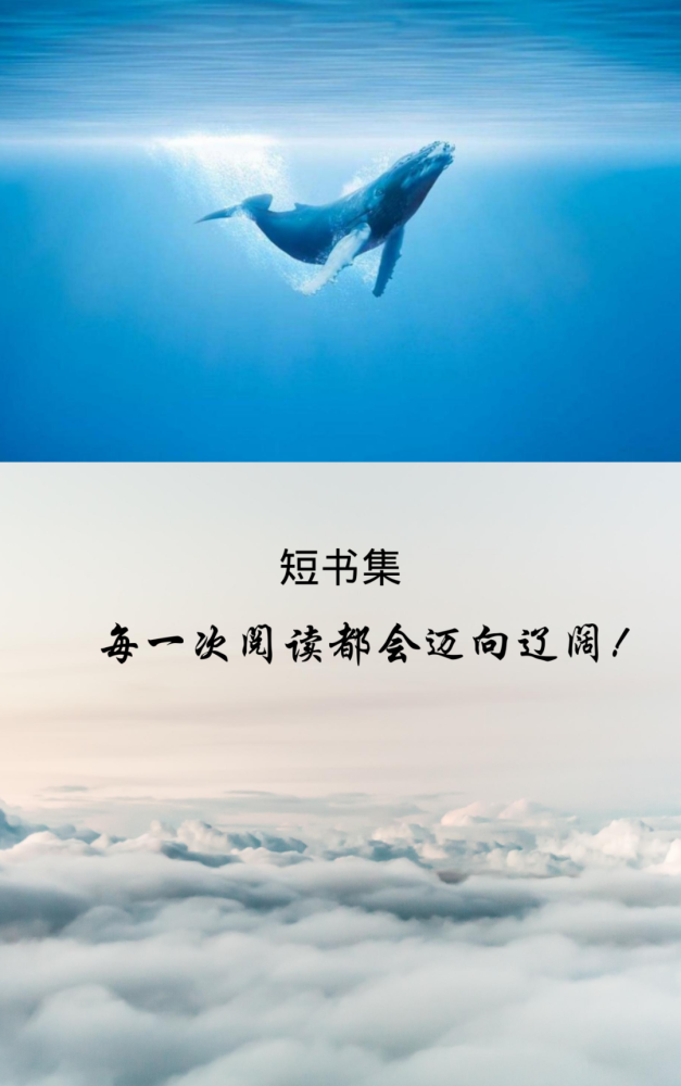 谢丽尔·斯特雷德|人赋予的意义最终给人以意义