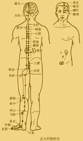 經絡不通虛不受補養生的過程其實就是不斷疏通經絡的過程