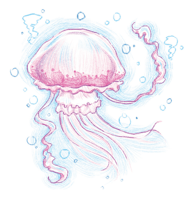 简单8步画出可爱到爆的彩铅小动物