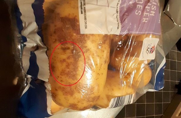 英国_社会|英国女子意外在土豆上发现耶稣图像，面目清晰可见，如同神迹