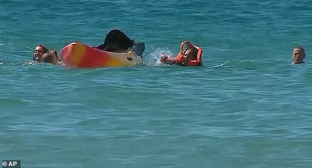 马塞洛·雷贝洛·德索萨|71岁葡萄牙总统海上救两名落水妇女，他一年前刚做心脏手术