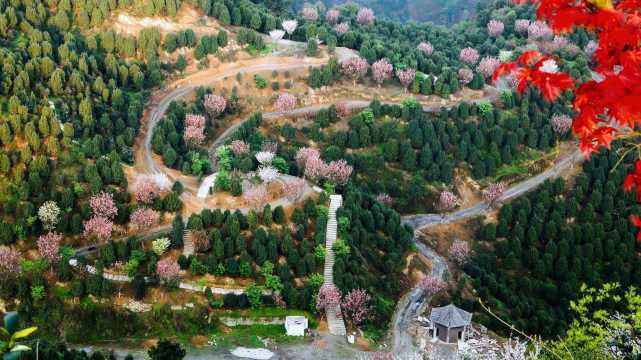 (珙縣自然風景)旅遊業是珙縣的一個優勢,還有一個優勢是境內特產眾多