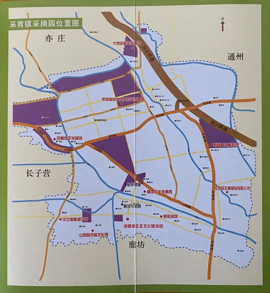 采摘园|“京南吐鲁番”的万亩葡萄熟了，50多个品种等您来采摘