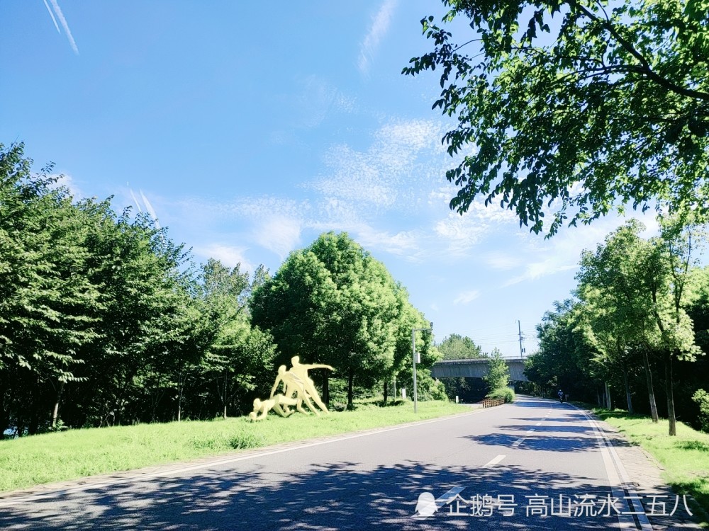 张公堤城市森林公园现在已经成为武汉市民休闲娱乐的好去处