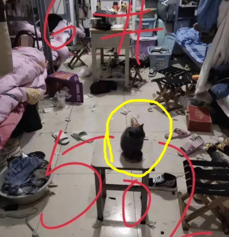 每日一笑:"带你看看真实的女生宿舍!"外表光鲜靓丽家里邋遢到极致!