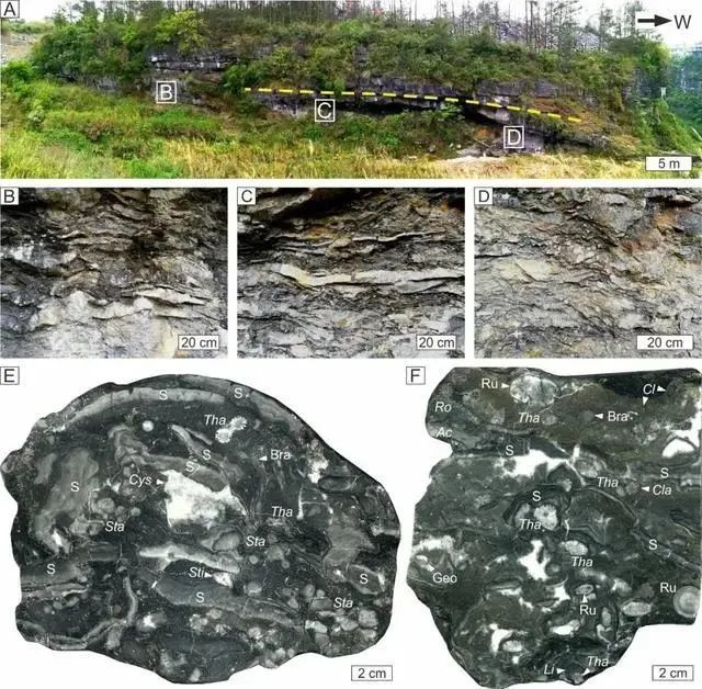 美国疾控中心|美国疾控中心前主任：新冠肺炎已成美国第三大致死原因