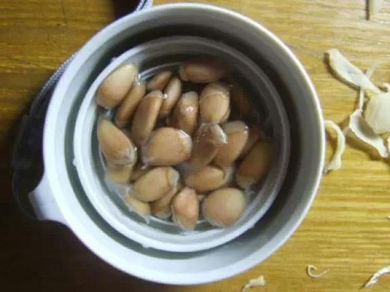 秋季吃柚子 甭扔掉种子 按照此3步盆栽育苗 静等开花结果 腾讯新闻