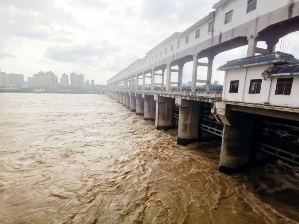 "大水真冲了龙王庙"……入汛以来最大洪峰顺利过境南充主城区