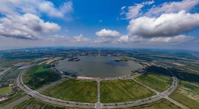 临港"三剑客":泡在办公室里"头脑风暴",只为闯出一条新路来