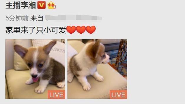 王岳伦|王岳伦事件女主正脸曝光！五官立体脸蛋小，皮肤白皙颜值不输李湘