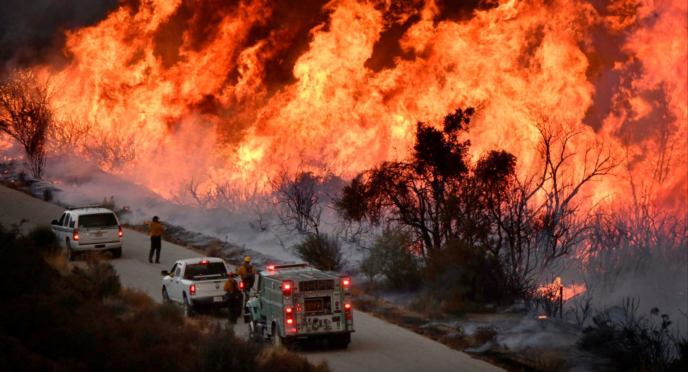 新冠|继新冠、大火之后，美国加州又现鼠疫，卫生官员敦促采取预防措施