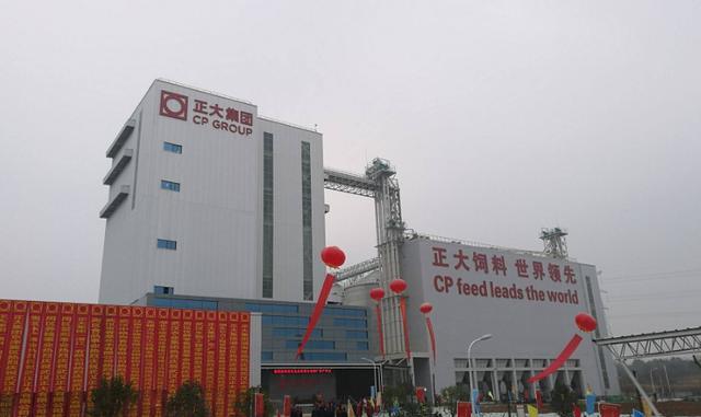 其实正大集团并不是中国的企业,正大集团由泰国华侨所创建,目前涉及的